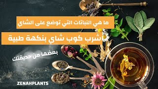 اشرب كوب شاي بنكهة طبية من حديقتك | نباتات توضع على الشاي @zenahplants #نباتات_واعشاب_علاجية