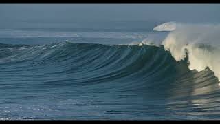 “Reggae Teh Manis – Irama Santai Penyejuk Hati” #shortvideo #reggae #music #djreggaeterbaru 