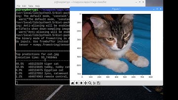 Raspberry pi Image Classifier with intel® Movidius™ Neural Compute Stick