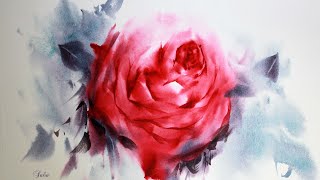 Watercolor flower, how to paint Rose Flower with watercolor.