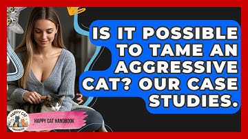 Is It Possible To Tame An Aggressive Cat? Our Case Studies. - Happy Cat Handbook
