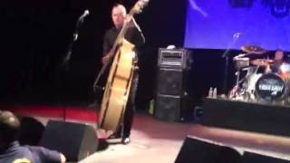 Tiger Army  Pain  October Flame V 102712