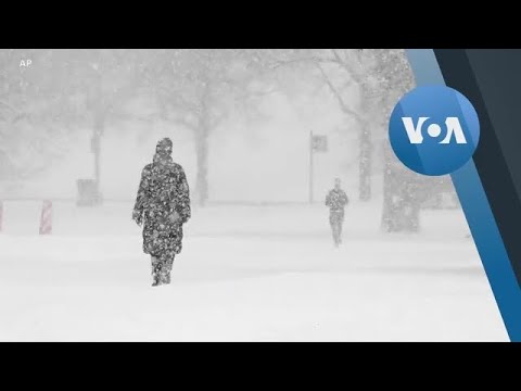 Video: Chikagodagi eng yaxshi qahvaxonalar