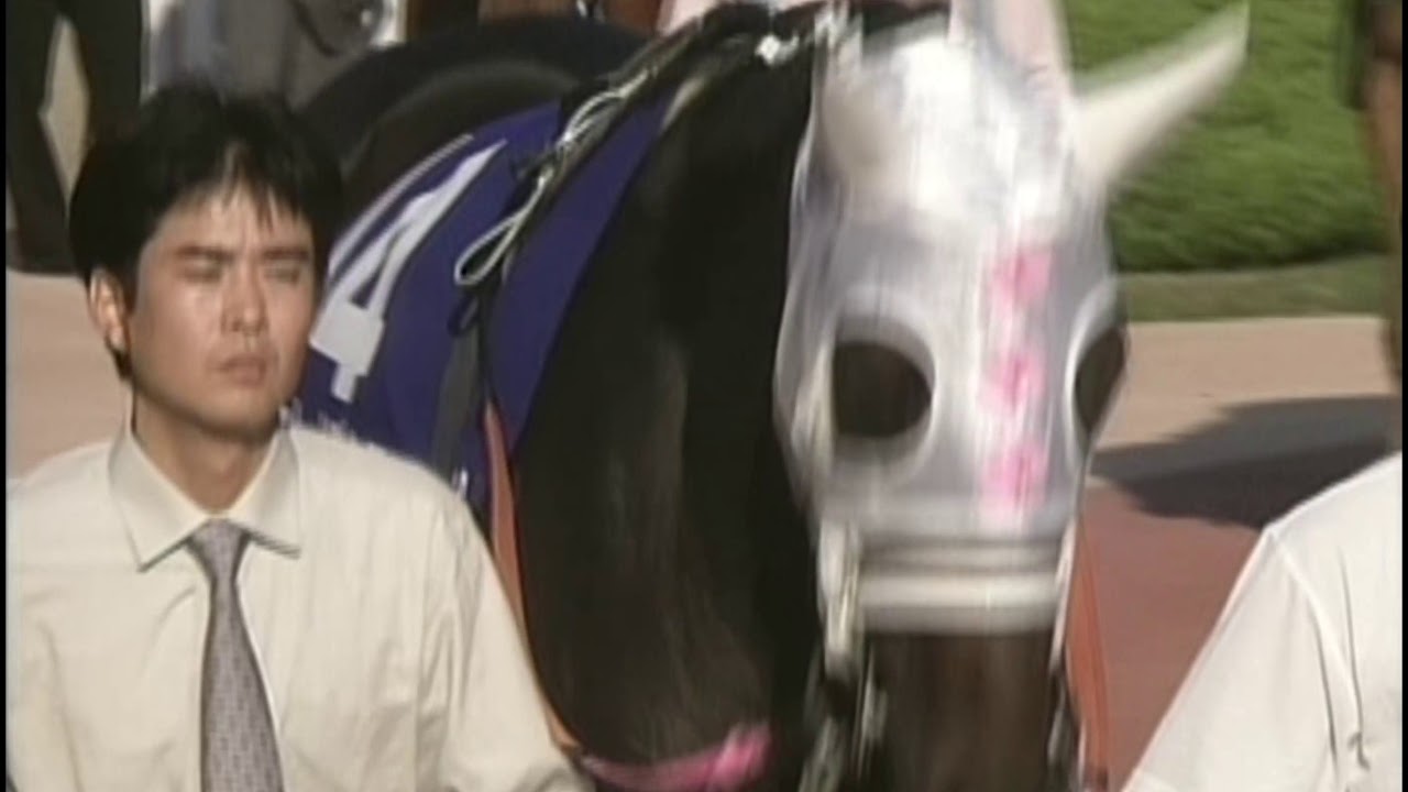 20世紀の名馬　85位　ファレノプシス