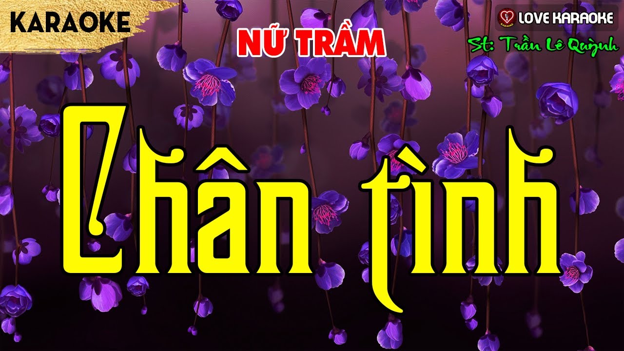 Karaoke Chân Tình Tone Nữ Trầm | Love Karaoke