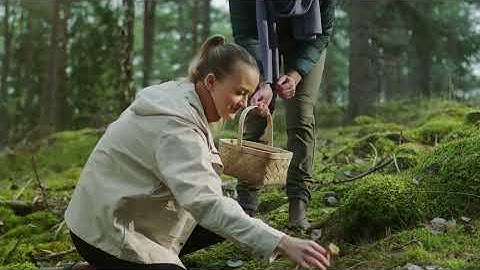 Quickselect süsteem WiFi ühenduvusega