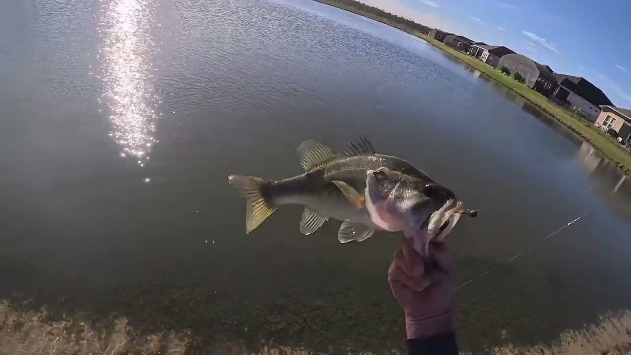 Daytona Beach Bass Fishing 01/10/24