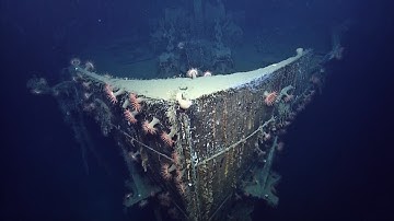 Studying Shipwrecks at the Advanced Photon Source