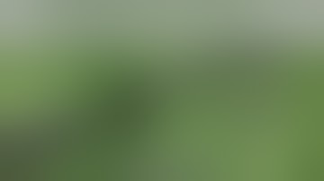 DISASSEMBLY - APS CAM870 | AIRSOFT