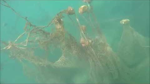 removing a huge ghost net from a reef