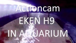 EKEN H9 test in Aquarium