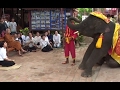 หลวงตามหาบัว เมตตาให้อาหารช้าง ณ วังช้างอยุธยา 28-04-2549