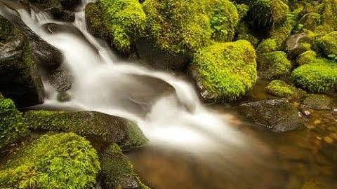 #سورة#الفاتحة#مكرره#للقارئ#نايف#الفيصل#سورة#الفاتحة#مكرره7مرات