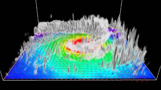 Simulation of Australian East Coast Cyclone