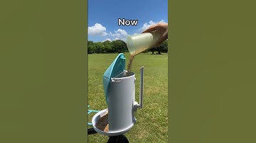 before bird watching VS now #birdfy #birdwatching #birds #birdfeeder