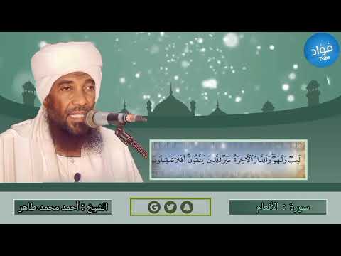 سورة الأنعام الشيخ القارئ أحمد محمد طاهر حفظه الله