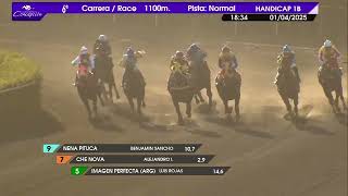 Vidéo de la course PMU PRIX QUIVER