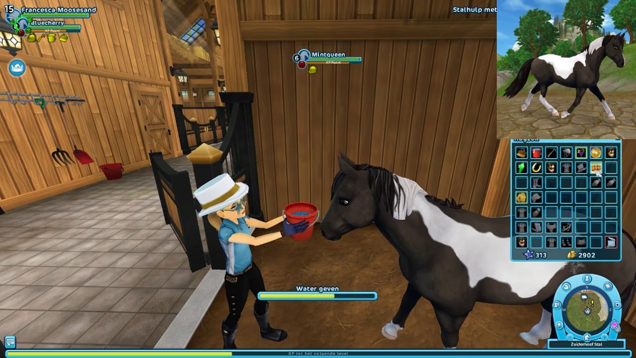 Nieuwe (pony) ? + NIEUW EDIT PROGRAMMA UITGETEST