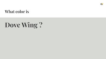 Dove Wing color #d7d9d5 hex color - Grey color - Warm color d7d9d5