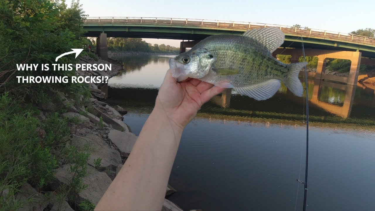 Catching Fish to Eat While Trying to Avoid Thrown Projectiles! - YouTube