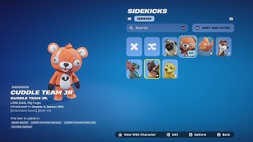 All New Fortnite Sidekicks GAMEPLAY! (Which Ones Are WORTH Buying?)