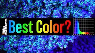Tested: Get the BEST Coral Coloration in Your Reef Tank With the Right Spectrum. screenshot 4