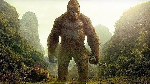 Kong