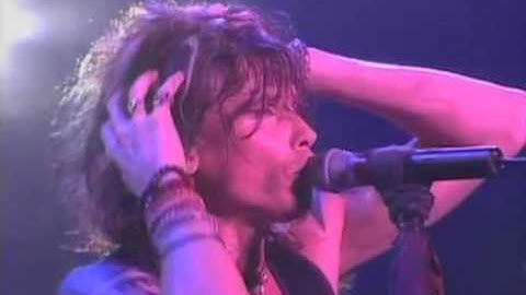 Thumbnail of Aerosmith - I Don't Want to Miss A Thing (Live in Japan)