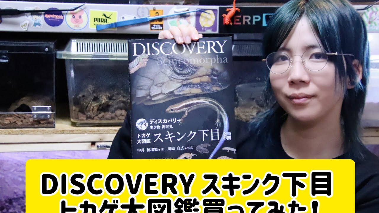 ディスカバリー トカゲ大図鑑 スキンク Amazon.co.jp: トカゲ大図鑑 スキンク下目編：ヨロイトカゲ科