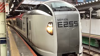 E259系特急成田エクスプレスNEX成田空港行き品川駅発車