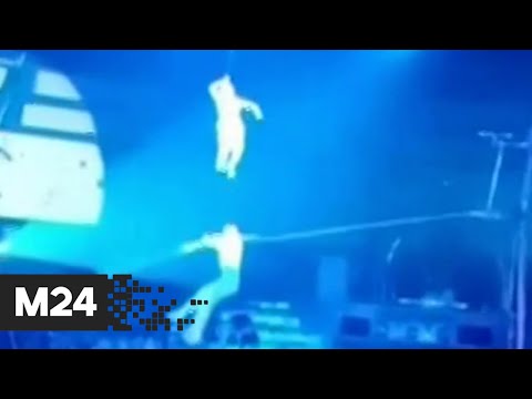 Канатоходец сорвался с высоты во время выступления в тюменском цирке - Москва 24