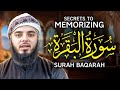 Everything You Need To Know About Memorizing Surah Al Baqarah In 40 Minutes Ust Dawoud Yahya Everything You Need To Know About Memorizing Surah Al Baqarah In 40 Minutes Ust Dawoud Yahya