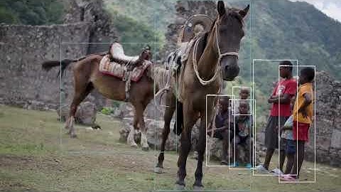 Video Annotation Services for Object Detection | Wisepl | Bounding Box Annotation | Computer Vision