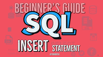 SQL Tutorial | SQL INSERT INTO Statement For Beginners