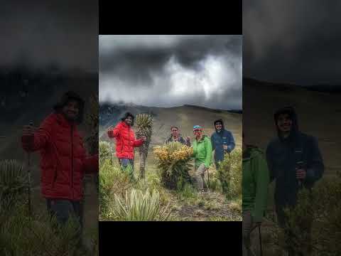 Hiking Colombia S Nevado Del Tolima Day 2 Finca La Playa