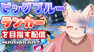 【マリオカート8DX】年越しの瞬間をビッグブルーと過ごす