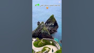 {سورة الزمر} الأية 13✨🍃 القارئ ياسر الدوسري 😍🌺🇵🇸❤️ #اكسبلور #الرحمن