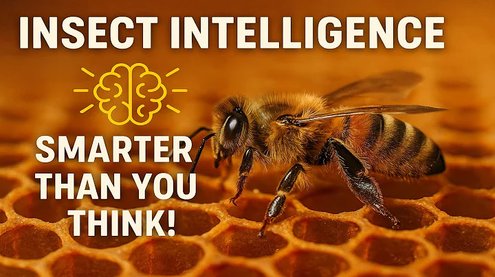 Insect Intelligence Smarter Than You Think!