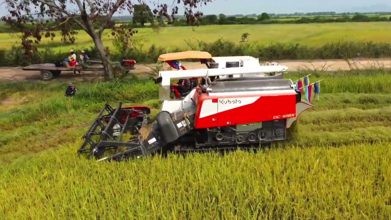 Unbelievable Kubota Rice Harvester Skills! Massive Cropping Action in Farm 2026