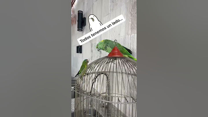 Moisés mi perico travieso!