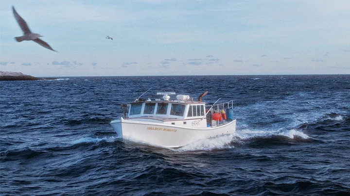 Brady Watt - "Not the One"  [ Official Music Video ]