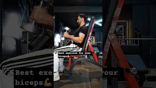 SMASH Your Brachialis With This!💥Hammer Curl. #gym #gymsharkhaul #discipline #consistency