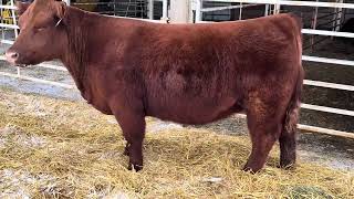 Lot 99 FCDC Smith