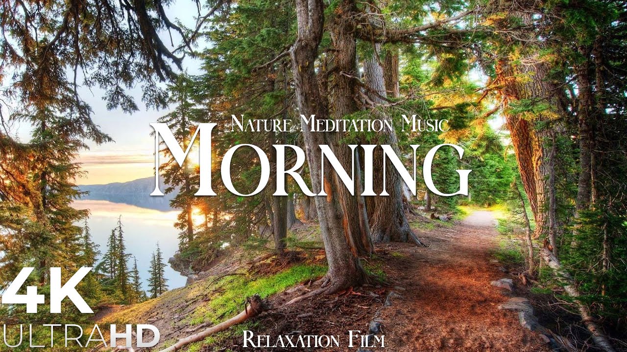 Morning Nature   Relaxation Film   Peaceful Relaxing Music   4k Video UltraHD