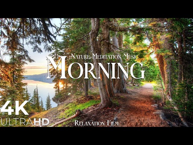 Morning Nature - Relaxation Film - Peaceful Relaxing Music - 4k Video UltraHD class=