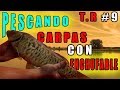 PESCANDO CARPAS CON ENCHUFABLE  (CASTRONUÑO) HD 2018