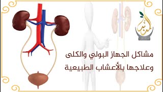 الصبر العلاج المعجزة لاغلب امراض الجسم جهاز هضمي وجهاز بولي وتنفسي بواسير ونواسير وتقرحات