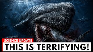 Why Sperm Whales Are The Most Terrifying Apex Predator On Earth