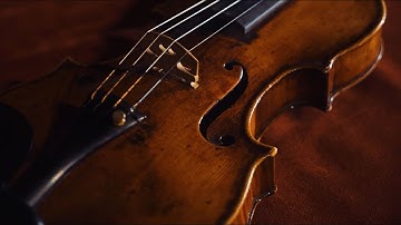 Guarneri del Gesù, A Violinist