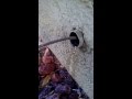 Snake Main Drain Line DIY Snake Main Drain Line DIY